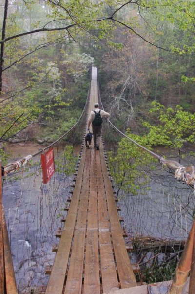 Rope bridge.jpg