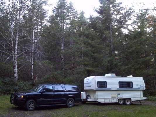 Suislaw National Forest near Lincoln City in Oregon.jpg