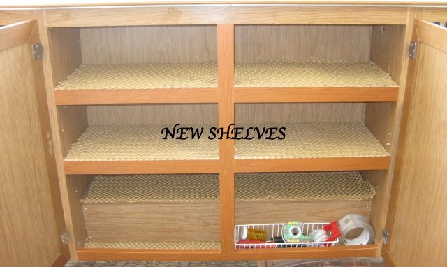 NEW SHELVES.jpg