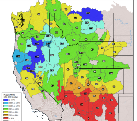 20250302snowpack.png