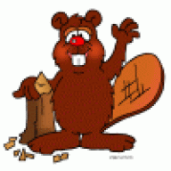 Busybeavers