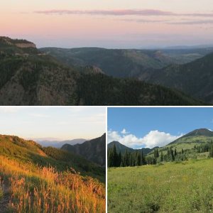 Crested Butte and Black Canyon Environs