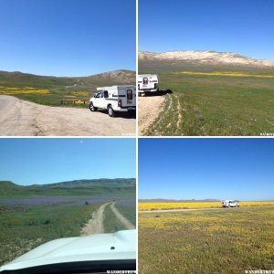 Carrizo Plain