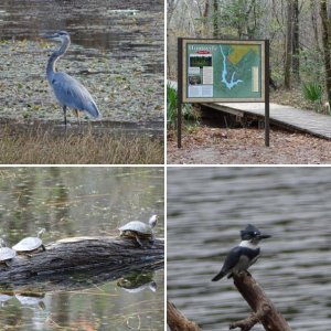 Huntsville State Park