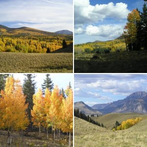 Fall in the Rockies 2015