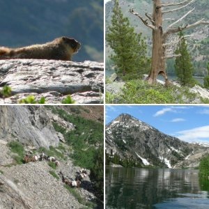 Agnew Lake hike July 2011