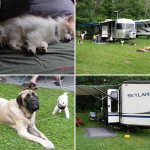 Hadley's Point Campground, Bar Harbor, ME