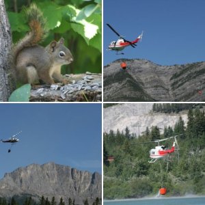 Kananaskis Country, Alberta