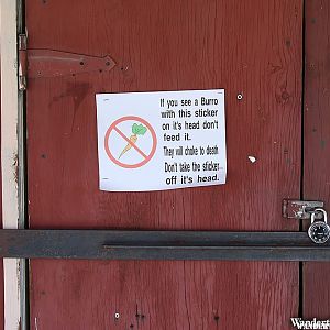 Oatman, Arizona