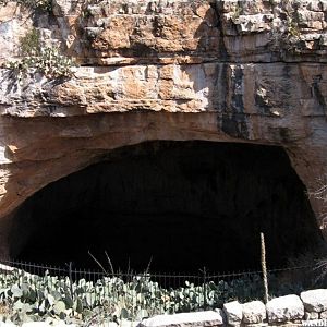 Carlsbad Caverns NM 1