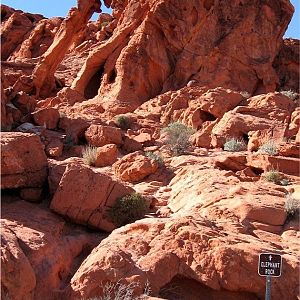 Valley of Fire 19