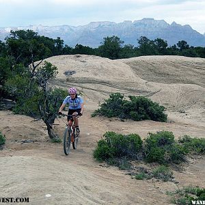 Gooseberry Mesa