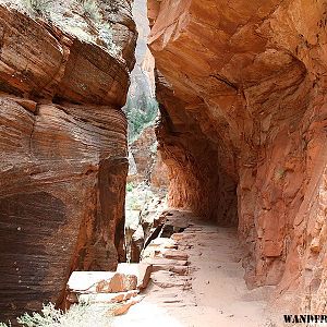 Observation Point Trail, Zion National Park