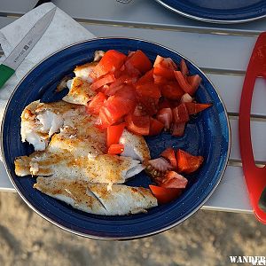 Orange roughy