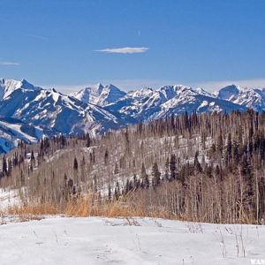 Maroon Bells, on the center skyline.