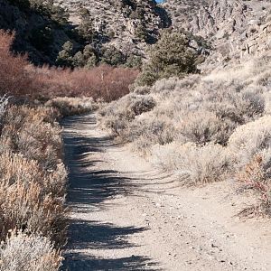 Up Ophir Creek