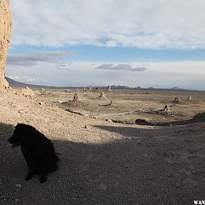 Trona Pinnacles