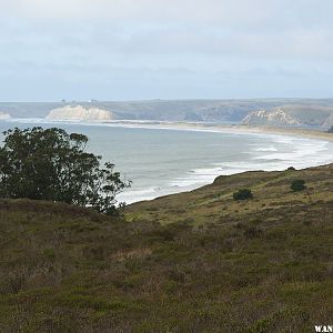 Limantour Beach