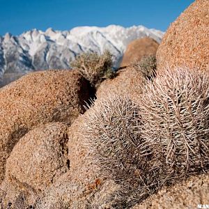 Alabama Hills