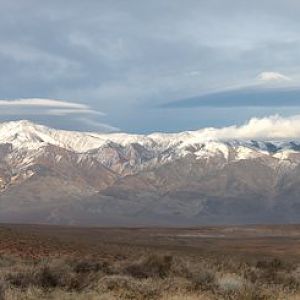 Northern White Mts.