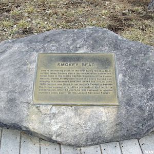 Smokey Bear's Last Resting Place