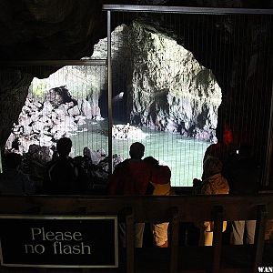 Sea Lion Caves