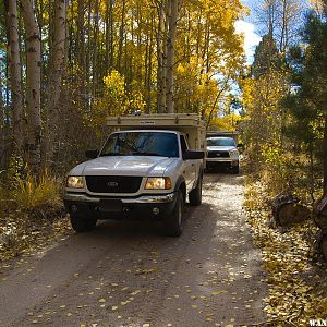 ATC Searching for Fall Colors