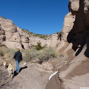 Somewhat warm weather hike