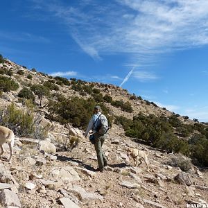 Hiking Out