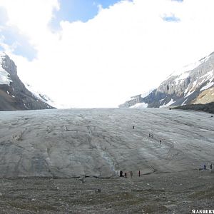 2005 40 CAN ICEFIELDS PKY COLUMBIA ICEFIELD