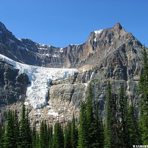 2005 C94 JASPER MT EDITH  CAVELL ANGEL GL