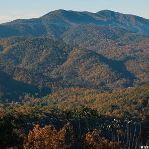 Mt Mitchell SP, NC