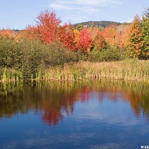 Acadia NP