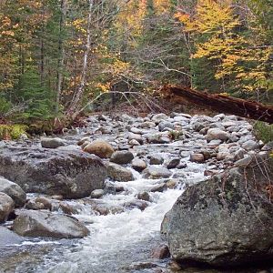 John's Brook, NY