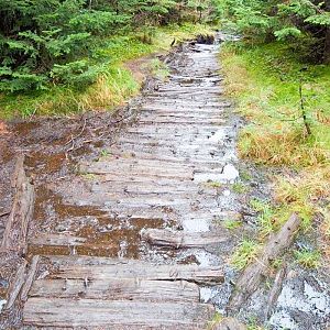 Trail on Mt Marcy, NY