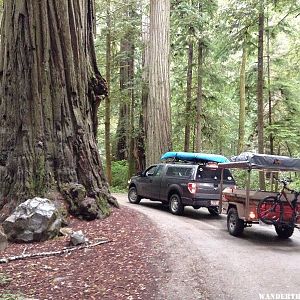 My setup last year in Redwood NP