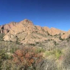 Tucson To Bigbend   1 (7)