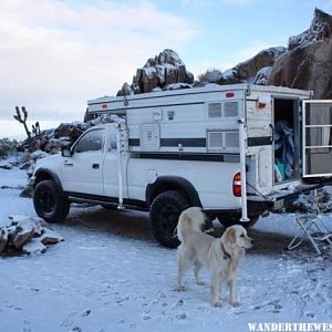 Mojave National Preserve