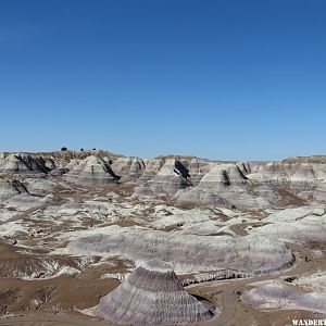 '16 W25 AZ, PETRIFIED FOREST NP VW