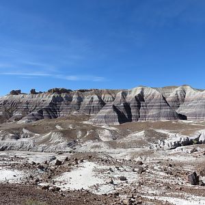 '16 W21 AZ, PETRIFIED FOREST NP VW