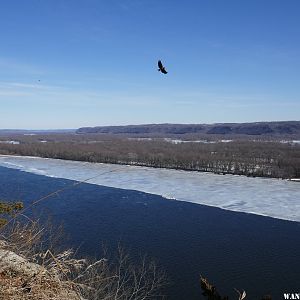 '17 IA 03 EFFIGY MOUNDS NM