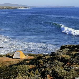 Pacific Coast Camp