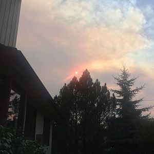 smoky skies