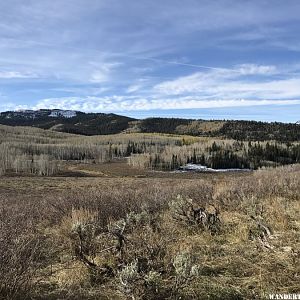 Saddle Mountain