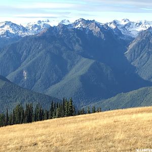 Mt. Olympus in Olympic National Park