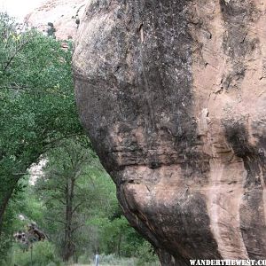 arch of leaves and rock.jpg