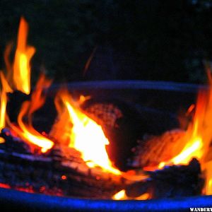 redwoods campfire.jpg