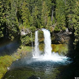 '18 L52 OR KOOSAH FALLS