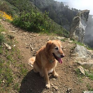 Kirk Creek Trail