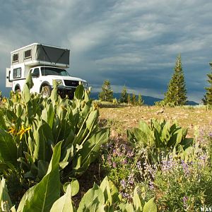 All Terrain Camper